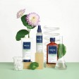 Phyto Volume Condicionador Volumizador 175ml