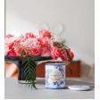 Portus Cale Vela Gold&Blue 210g