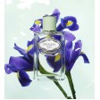 Prada Infusion D'Iris Eau de Parfum 100ml
