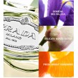 Prada Infusion D'Iris Eau de Parfum 100ml