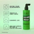 Redken Volume Boost Spray Volumizador 250ml