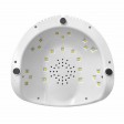 RickiParodi EcoPro Catalisador Led Profissional