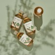 Round Lab Mugwort Tónico 300ml