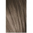 Schwarzkopf Igora Royal 8-1 Louro Claro Cinza 60ml + Oxidante 20V