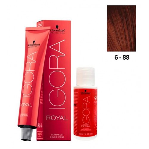 Schwarzkopf Igora Royal 6-88 Louro Escuro Vermelho Extra 60ml + Oxidante 20V