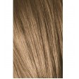 Schwarzkopf Igora Royal 8-4 Louro Claro Beige 60ml + Oxidante 20V