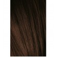 Schwarzkopf Igora Royal 4-6 Castanho Médio Marron 60ml + Oxidante 20V
