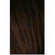 Schwarzkopf Igora Royal 4-68 Castanho Médio Marron Vermelho 60ml + Oxidante 20V