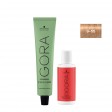 Schwarzkopf Igora Zero AMM 9-55 Louro Extra Claro Dourado 60ml + Oxidante 20V