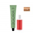 Schwarzkopf Igora Zero AMM 7-55 Louro Médio Dourado 60ml + Oxidante 20V
