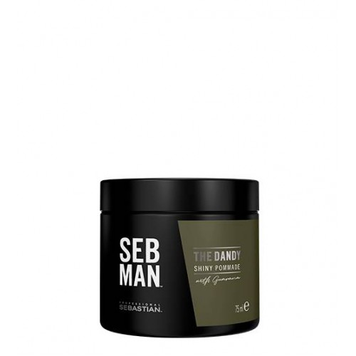 Sebastian Seb Man The Dandy Pomade 75ml