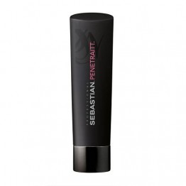 Sebastian Penetraitt Shampoo 250ml