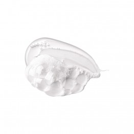 Shu Uemura Izumi Tonic Shampoo Fortificante 300ml