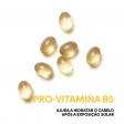 Wella Invigo Sun Condicionador 200ml