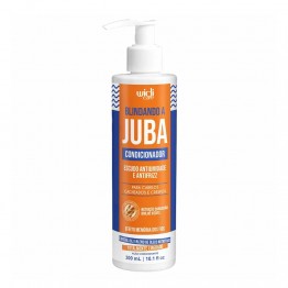 Widi Care Blindando a Juba Condicionador Antifrizz 300ml